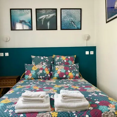 Apartment Le Petit Hyerois Hyères